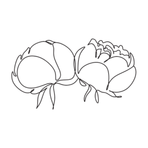 シャクヤク根エキス