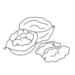 シアバター（シア脂）