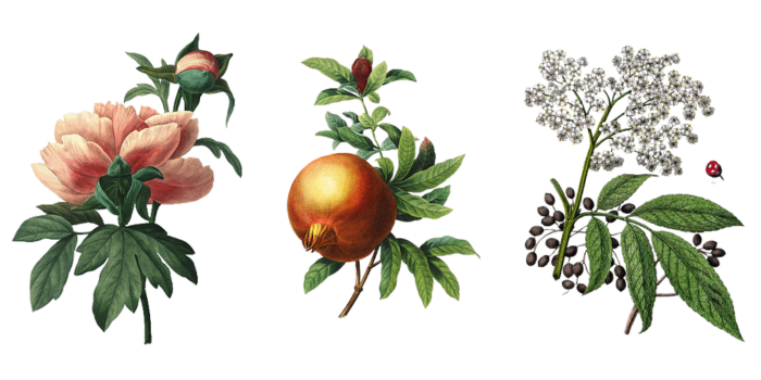 WRAY ブリーズ&グローヘアオイル ボタニカル成分